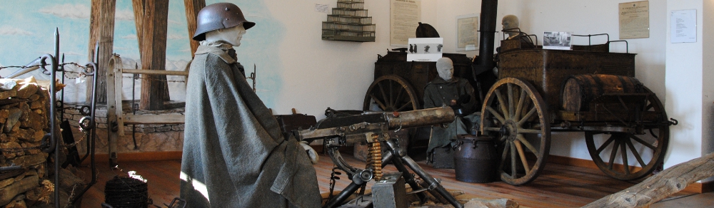 Pejo 1914 - 1918. La guerra sulla porta