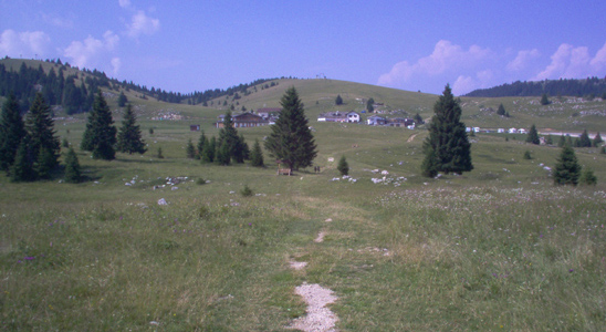 Monte Maggio_il sentiero E5,sullo sfondo Passo Coe e Cima Plaut_MGR