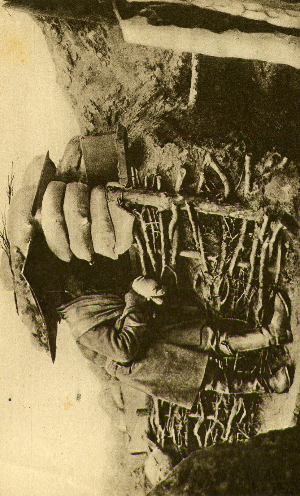 Trincea austroungarica sul fronte russo. luglio 1916 [Le Miroir n. 136]