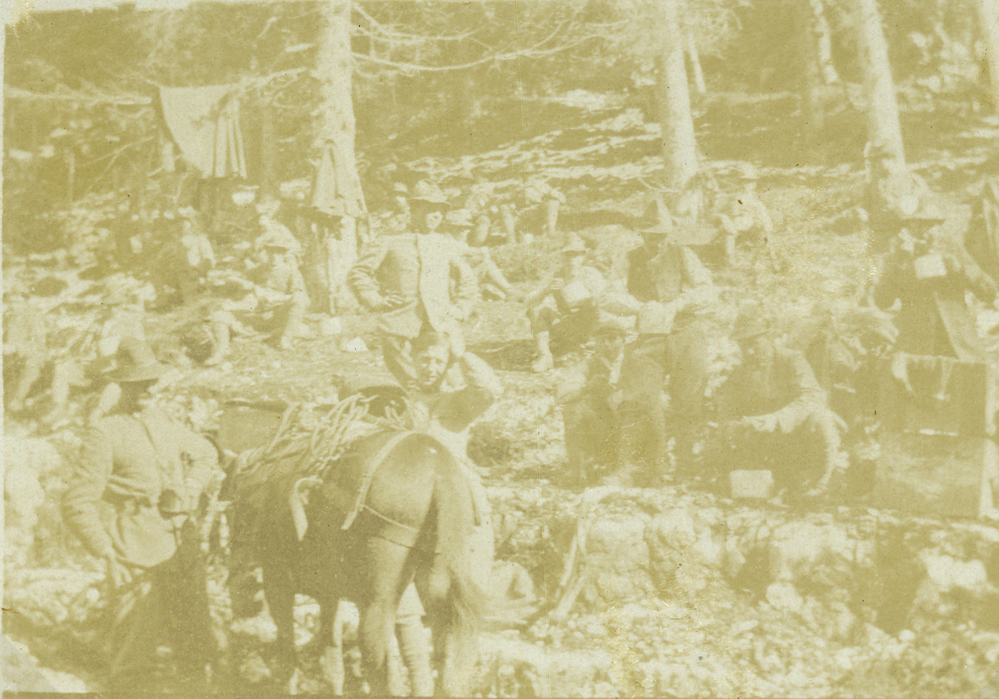 Truppe alpine con muli in zona Ortigara. 1916-1917 [AF MSIGR 173/100]