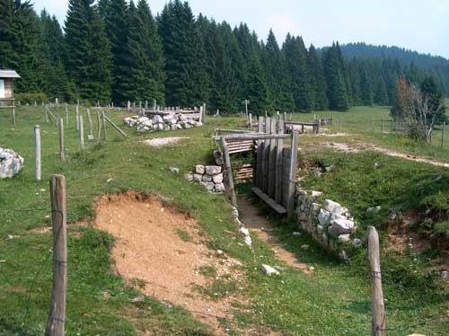 Millegrobbe